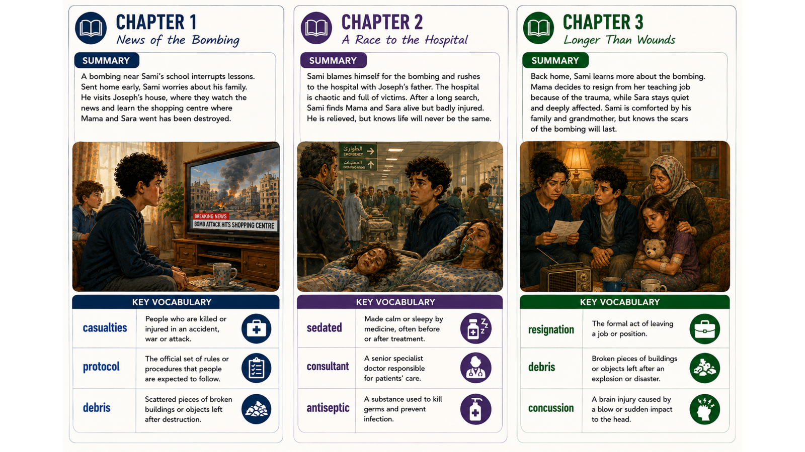 Boy Everywhere: The Ultimate Shared Reading Teaching Companion